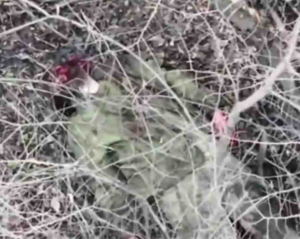 Ukrainian gets what he deserves.