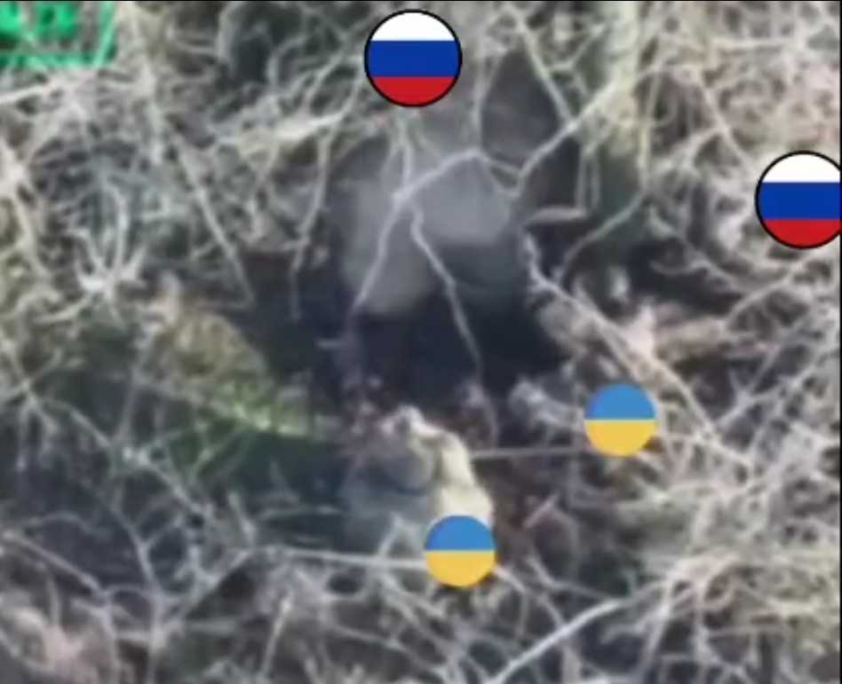 Executing 2 surrendered Ukrainians.