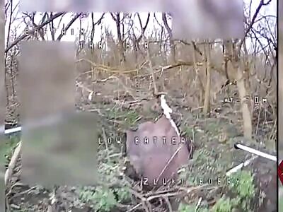 Angry Beavers compilation