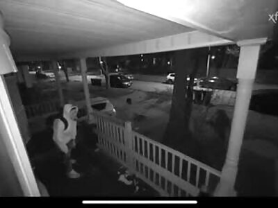 Chicago Yns Fail To Slide On The Opps