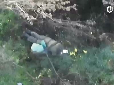 Good Russians comp (December 5, 2025)