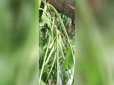 FRIEND SUPPORTING THE DYING