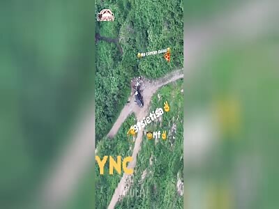 Drone Strikes On The CJNG Compilation (By Me)