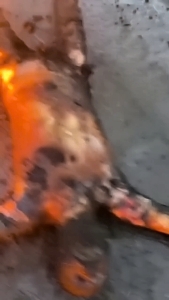 Let's quickly collect them and get out of here!