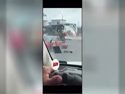  WARNING: ANIMALS ON THE RO......!