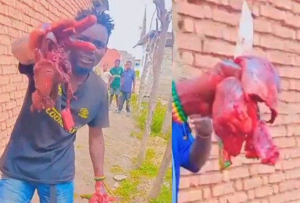 They Keep On Eating Each Other In Congo