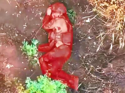 Pretty Soldier Lying In Agony