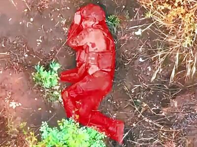 Pretty Female Soldier Dying In Agony