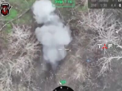 Good Russians comp (December 11, 2025)