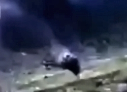 Flight to heavenly peace