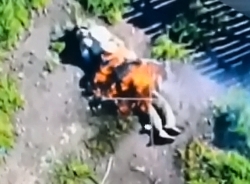 Barbecue on the battlefield