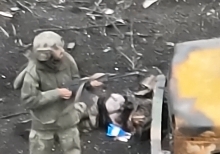 Shoot Forrest shoot!