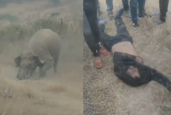  Deadly Elephant Attack In India {FULL}