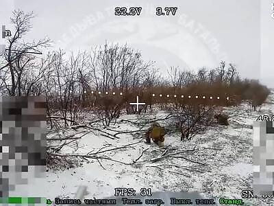 Ukrainian accepts his fate by FPV drone