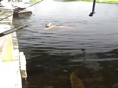 WTF IS WRONG WITH THESE INBRED WHITE PEOPLE ????