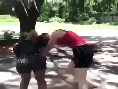 LOL WANNA BE TOUGH GIRL GETS HER ASS BEAT BAD