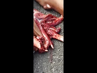 Vehicle Accident Turns A Human Being Into Hamburger
