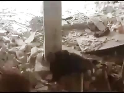 Iranian militia attacked in aleppo neighborhoods