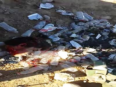 Iraqi soldiers show daesh heads terrorists