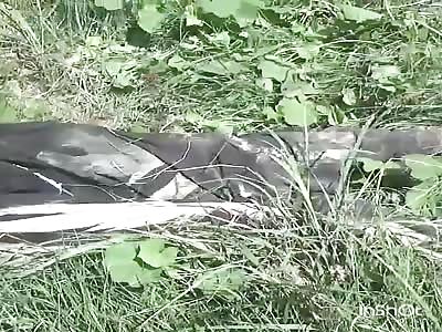 Jihadists take control of nawa