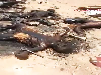 Brigade 29_Dead_ISIS_Fighters