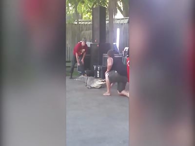 Man and bitten on arm by crocodile