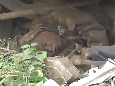 Crushed in accident with truck