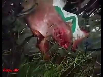 Horrible accident Man with several people