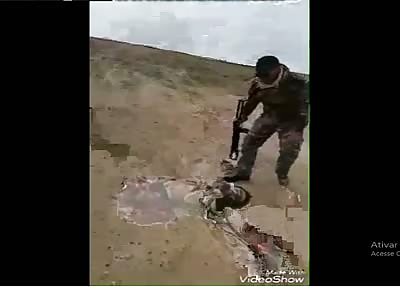 Daesh wrecked And peace body