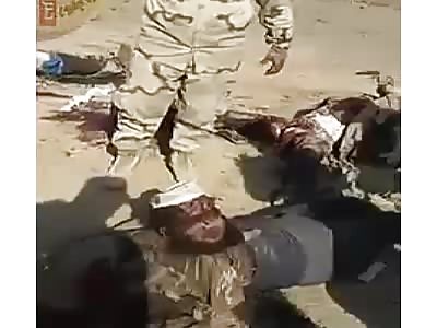 Daesh wrecked And peace body