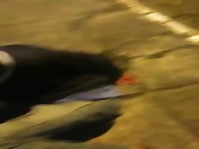 Thief beaten by victim