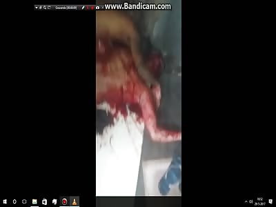 (after shot)Other previously posted video after shoting