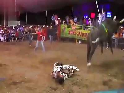 Several attacked in bullfighting festival in mexico
