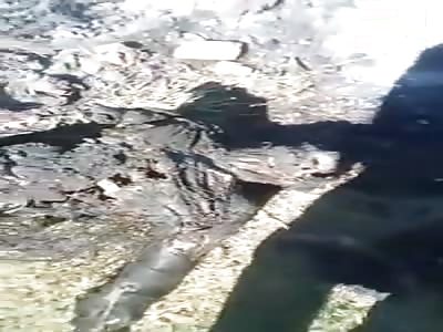 Pcc rivals have carbonized bodies