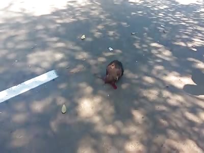 Horrific accident  Man's head jumps on asphalt