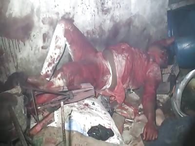 gangsters were killed by terrorists