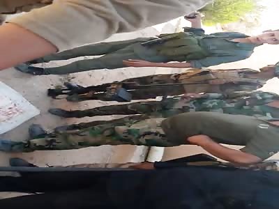 Two of the sparrows were killed in the Iraqi-Syrian border