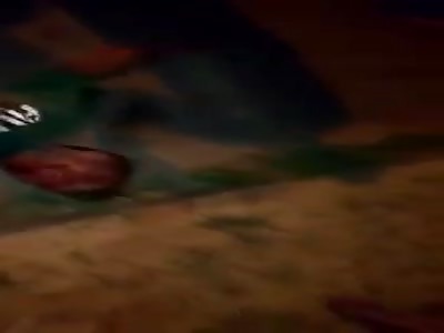 thief brutally beaten