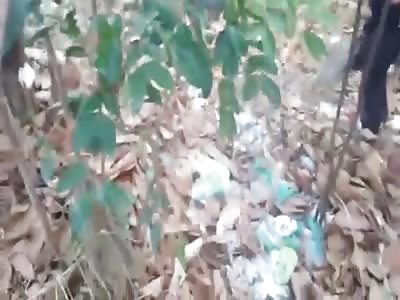 Man found with out a head 