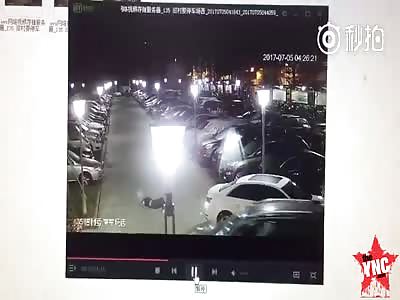 she was drunk on the road he ran over her she died