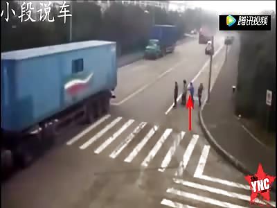 death on the zebra crossing 