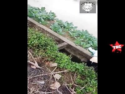 Accident at Kien Thuy-HP, Vietnam 2 dead students  