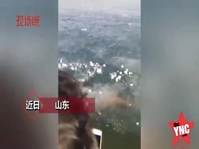 He missed the exit snorkeling diving death was near