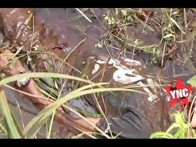 The discovery of a body at @0:13 in Parit, Cempaga Hulu, Kotawaringin Timur 
