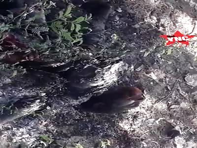  youths body was burned to charcoal but his head was  untouched in Uttar Pradesh 