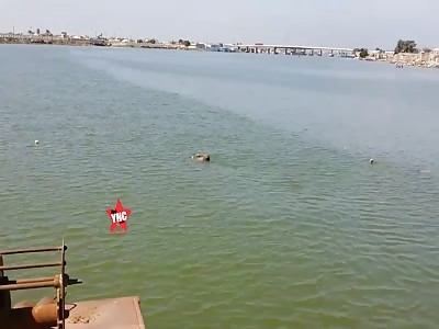 Body discovery in Basra, Iraq