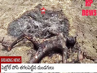 A small incident happened in Banagana Palli Mandal in Kurnool district