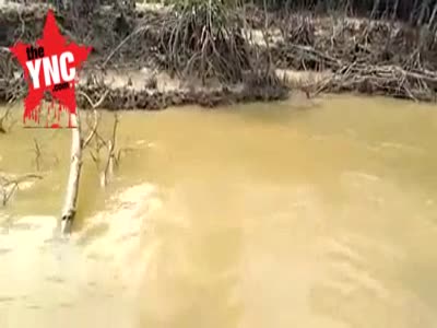 discovery of a dead body the victim was killed by a crocodile on Saturday dated 14 April