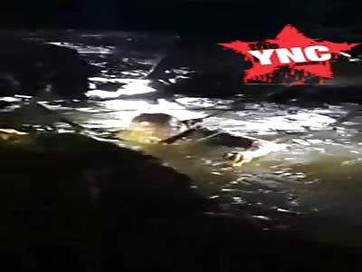 swamp thing in Widuri  (Pemalang)