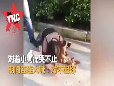 not every one in china hates dogs